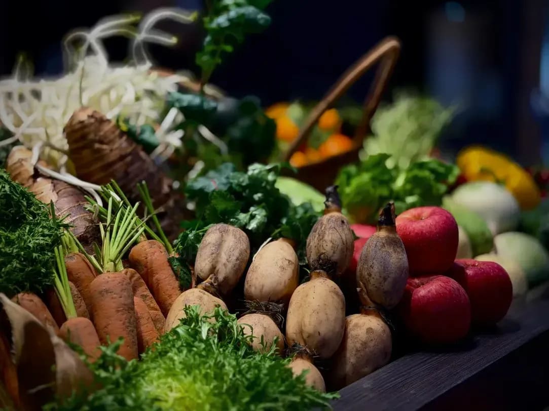 How GreenHarvest Produce Keeps Vegetables Fresh from Farm to Market