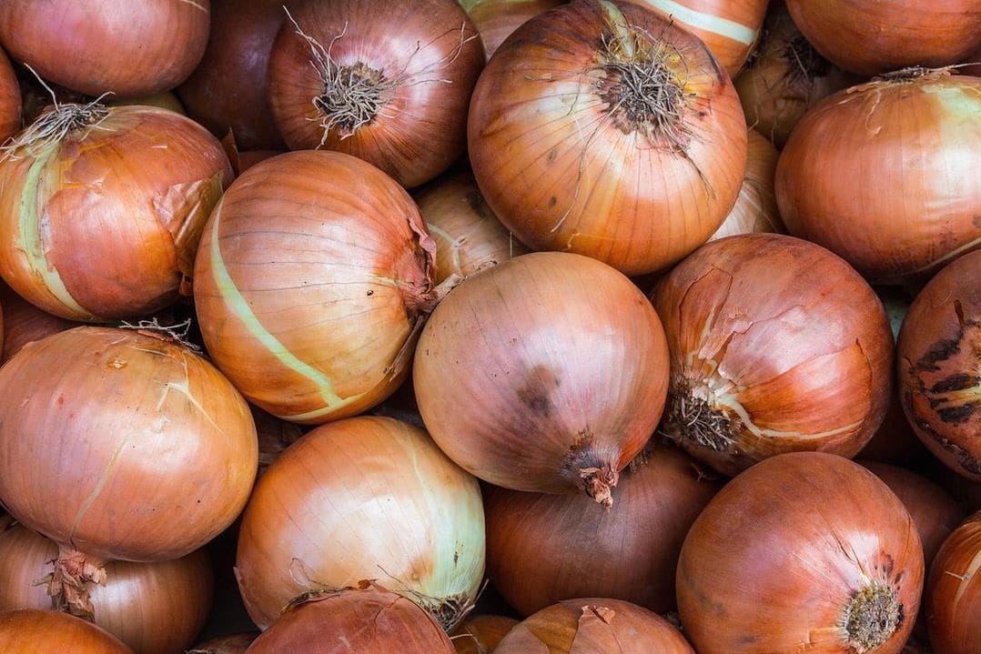 GreenHarvest Produce 1