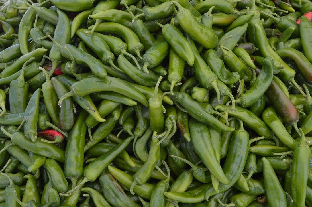 GreenHarvest Produce 11