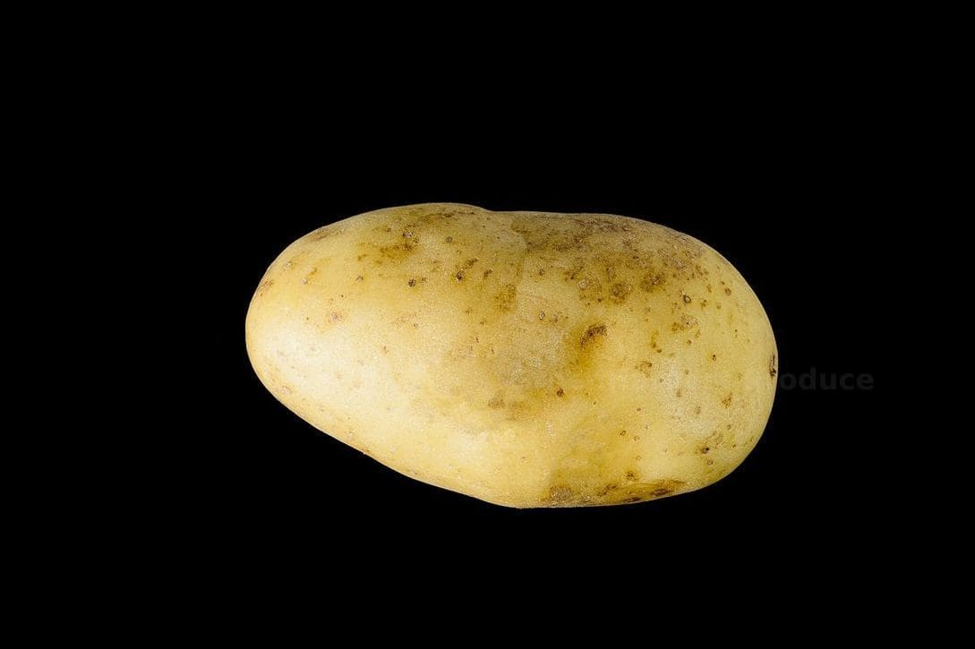GreenHarvest Produce 3