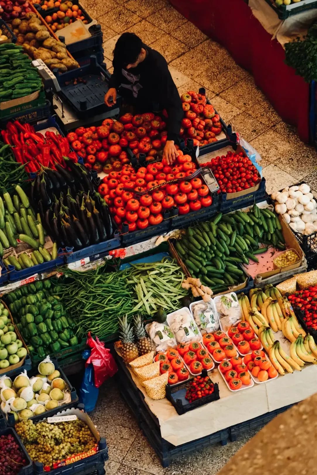 Review crop plans and seed order