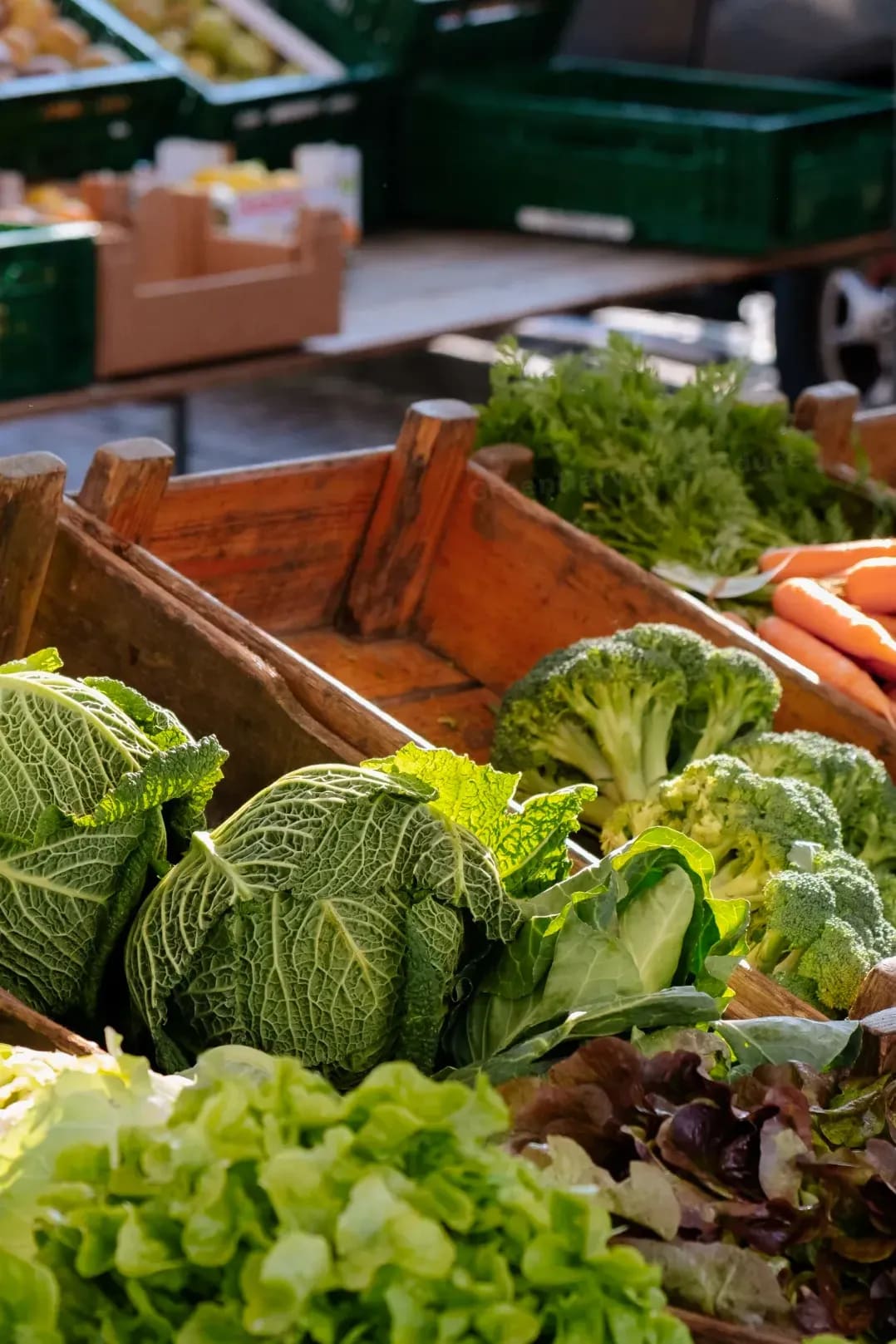 Monitor crop development and control pests